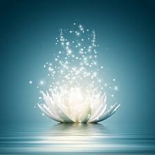 Fleur de lotus